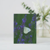Papillon sur carte postale Lavender (Debout devant)
