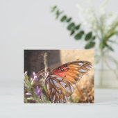 Papillon sur carte postale Lavender (Debout devant)