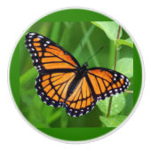 Papillon sur des boutons et des pulls en céramique (Devant)