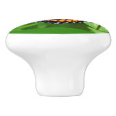 Papillon sur des boutons et des pulls en céramique (Côté)