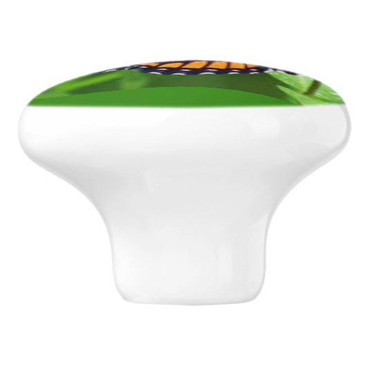 Papillon sur des boutons et des pulls en céramique (Côté)