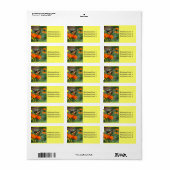 Papillon sur Étiquette de fleurs orange et jaune (Feuille entière)