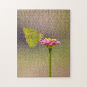 Papillon sur fleur de Zinnia rose Nature Puzzle