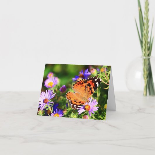 Papillon sur fleurs d'aster carte de note/carte de (Devant)