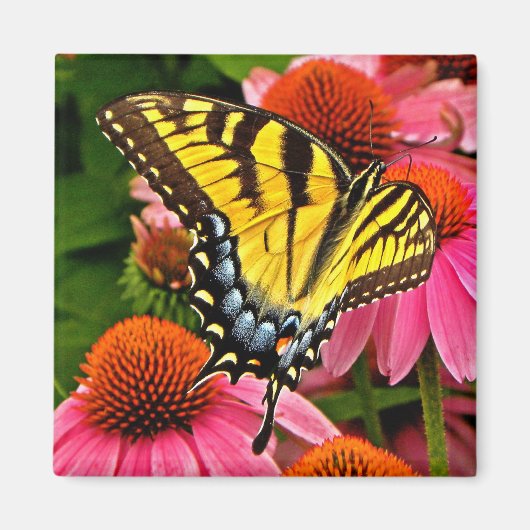 Papillon sur Flower v22 Magnet (Devant)