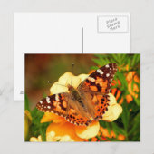 Papillon sur la carte postale Fleurs Jaunes (Devant / Derrière)