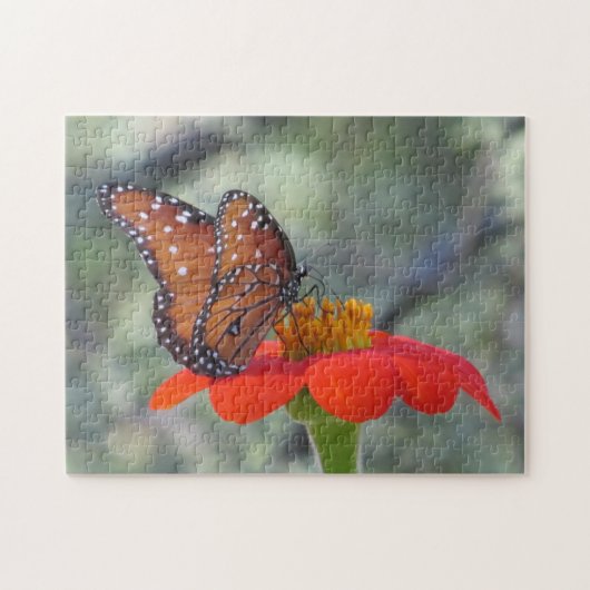 Papillon sur le puzzle de tournesol mexicain (Horizontal)