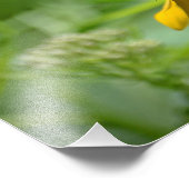 Papillon sur l'impression photo en fleurs (Coin)