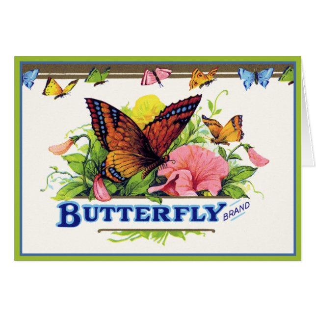 Papillon sur Petunias (Devant horizontal)