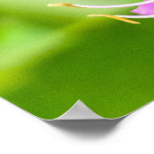 Papillon sur une affiche de fleurs (Coin)