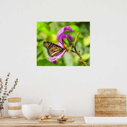 Papillon sur une affiche de fleurs (Cuisine)