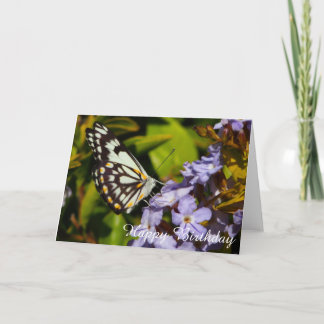 Papillon sur une carte d'anniversaire florale vier