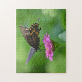 Papillon sur Zinnia Puzzle (Vertical)