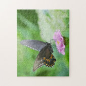 Papillon sur Zinnia Puzzle (Vertical)