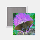 Papillon Swallowtail, Aimant à fleur violet Pixie (Recto/Verso)