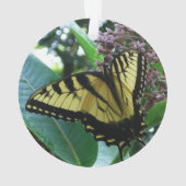 Papillon Swallowtail I sur Milkweed à Shenandoah (dos)