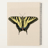 Papillon Swallowtail Jaune du Sud-Ouest (Dos)