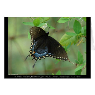 Papillon Swallowtail Noir - Cadeaux d'amour & Vête