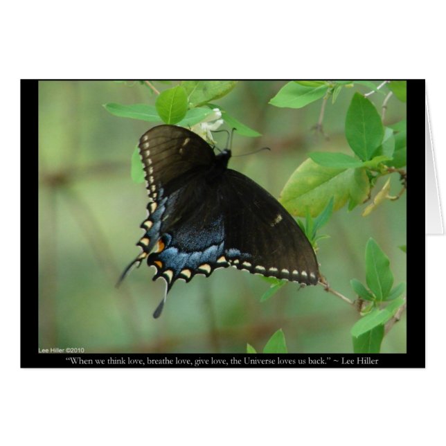 Papillon Swallowtail Noir - Cadeaux d'amour & Vête (Devant horizontal)