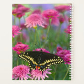 Papillon swallowtail noir sur une fleur rose foncé (Dos)