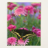 Papillon swallowtail noir sur une fleur rose foncé (Devant)