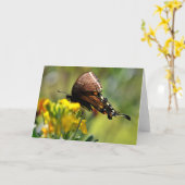 Papillon Swallowtail sur carte Fleur sauvage (Fleur jaune)