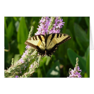 Papillon Swallowtail sur Fleurs sauvages pourpres