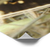 Papillon Tacheté Bois Impression (Coin)