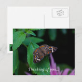 Papillon tacheté Penser De Vous Carte Postale (Devant / Derrière)