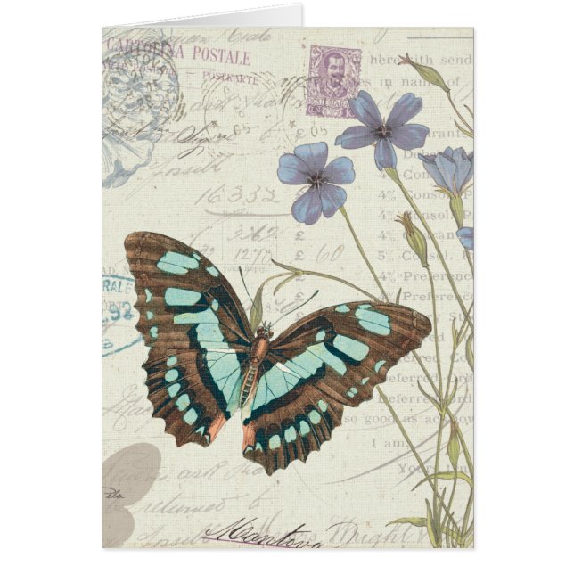 Papillon Tales (Voorkant)