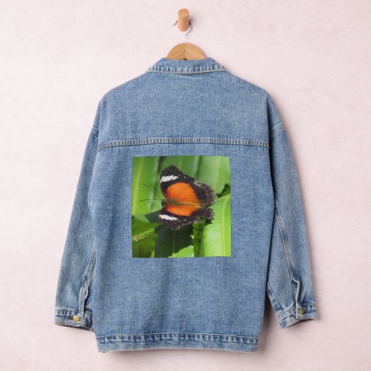 Papillon tropical (Hangar)