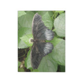Papillon Tropical et Bloc-notes Fleurs (Tourné)