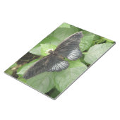 Papillon Tropical et Bloc-notes Fleurs (Incliné)