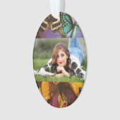 papillon tropical violet bordeaux orange (devant)