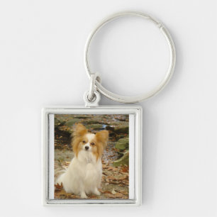 Papillon-vergadering.png Sleutelhanger