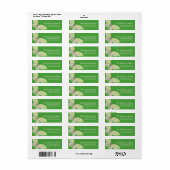 Papillon vert et rose Élégant Étiquette de adresse (Feuille entière)
