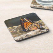 Papillon Viceroy - 6 Dessous de verre (Côté gauche)