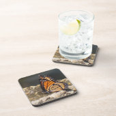 Papillon Viceroy - 6 Dessous de verre (Côté Droit)