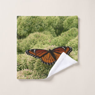 Papillon Viceroy Belle photographie de la nature