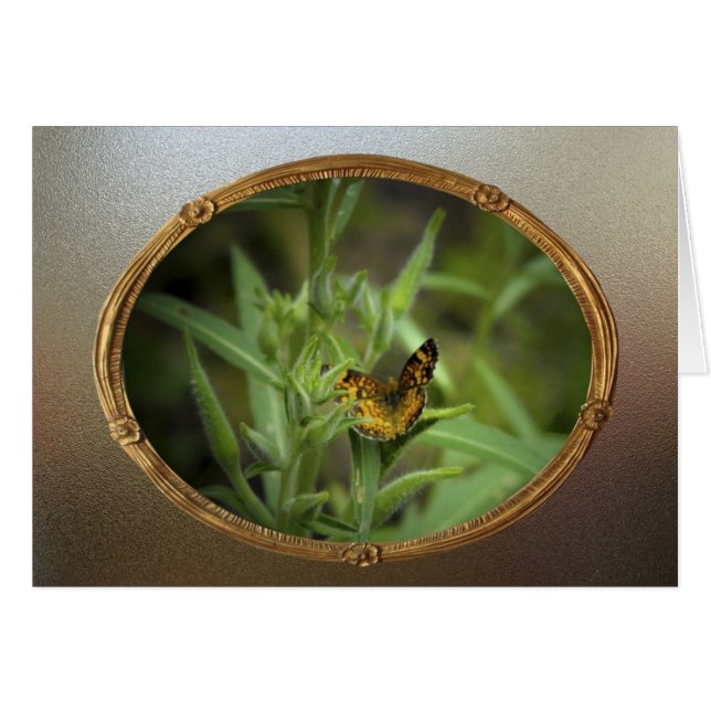 Papillon vintage (Devant horizontal)