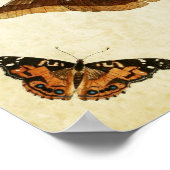 Papillon vintage Impression 012 (Coin)