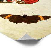 Papillon vintage Impression 018 (Coin)