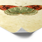 Papillon vintage Impression 025 (Coin)