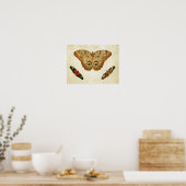 Papillon vintage Impression 034 (Cuisine)