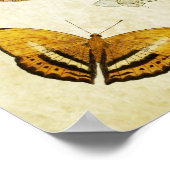 Papillon vintage Impression 046 (Coin)