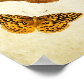 Papillon vintage Impression 057 (Coin)