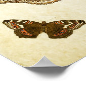 Papillon vintage Impression 062 (Coin)