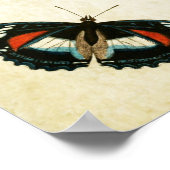 Papillon vintage Impression 067 (Coin)