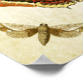 Papillon vintage Impression 074 (Coin)