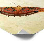 Papillon vintage Impression 082 (Coin)